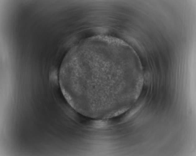 X0000091730238200709141232