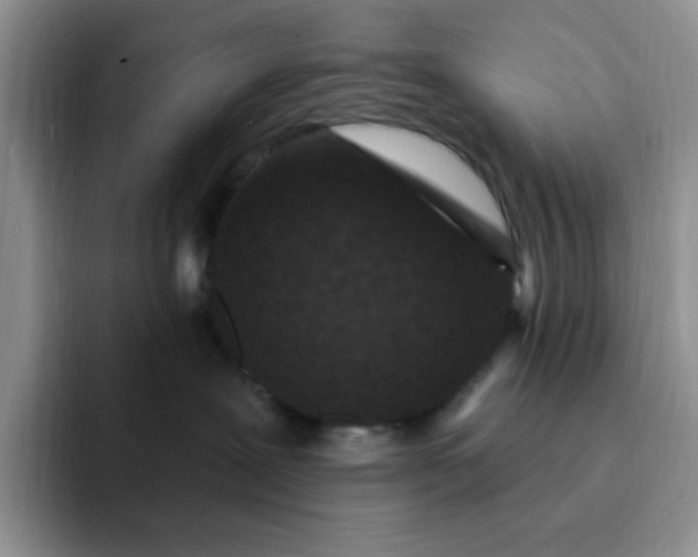 X0000091730239200709141232