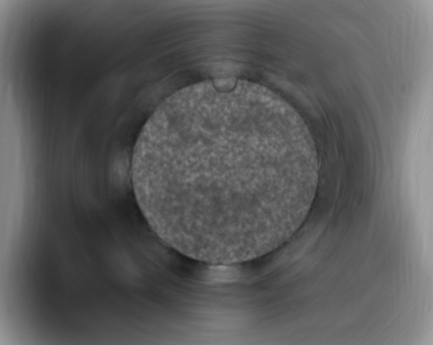 X0000091730240200709141232