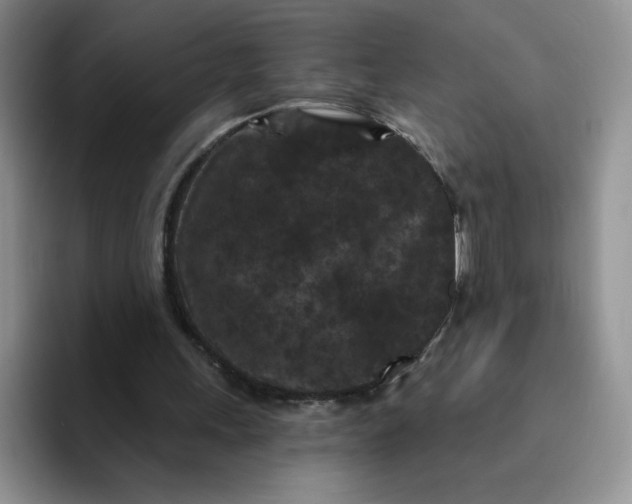 X0000091730243200709141231