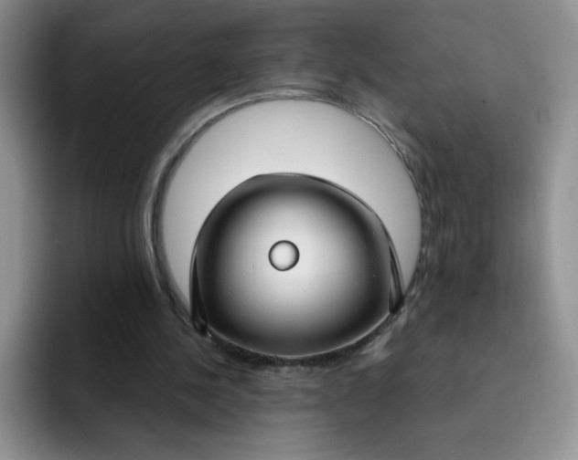 X0000091730244200709141231