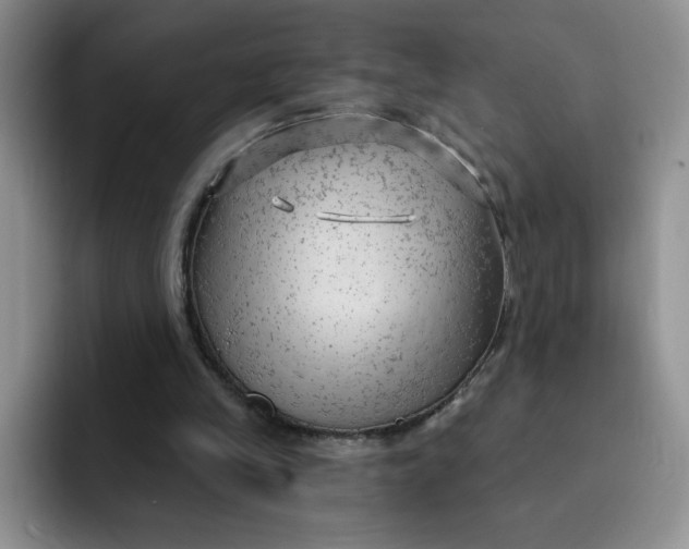 X0000091730245200709141231