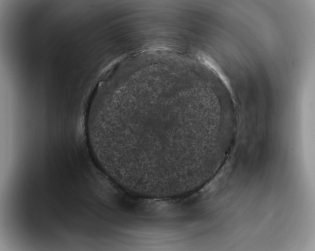 X0000091730249200709141231