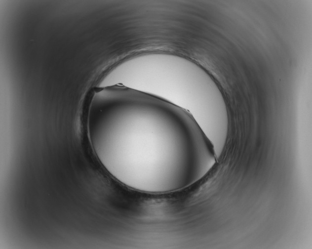 X0000091730252200709141232