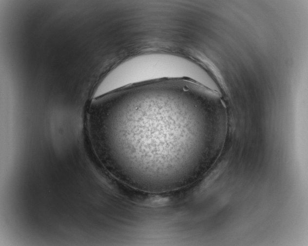 X0000091730257200709141232