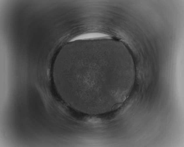 X0000091730258200709141232