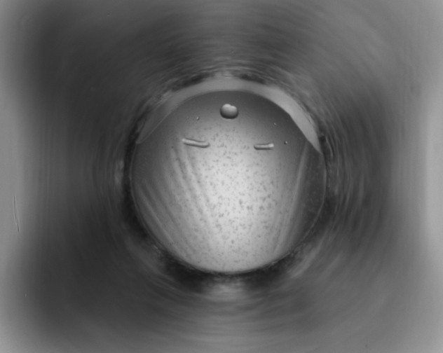 X0000091730263200709141232