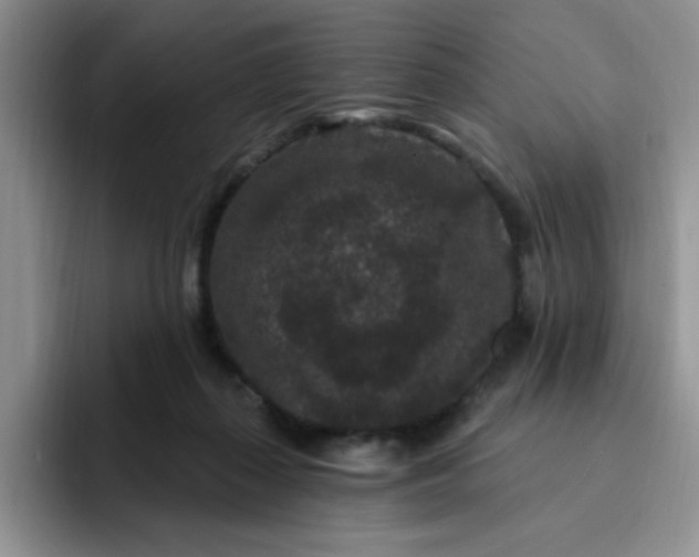 X0000091730267200709141232