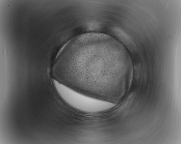 X0000091730269200709141232