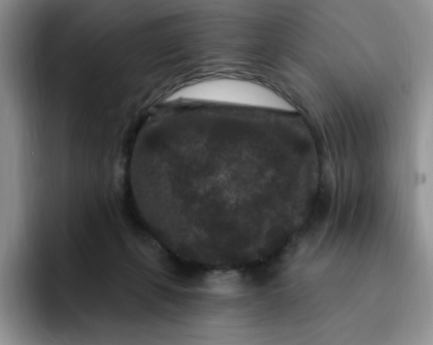 X0000091730271200709141232