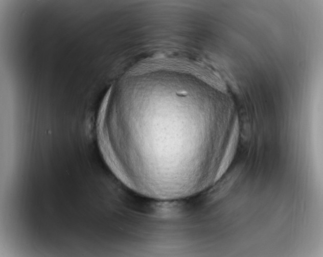 X0000091730273200709141232