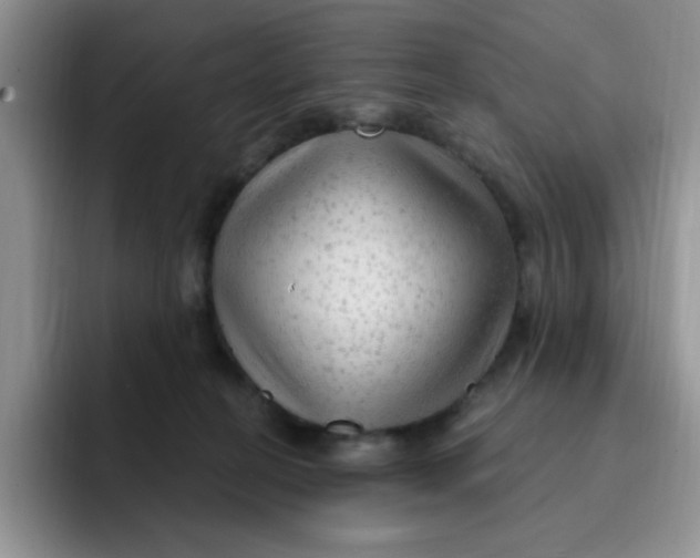 X0000091730274200709141232