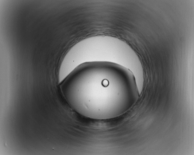 X0000091730276200709141232