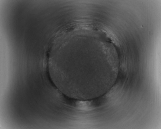 X0000091730277200709141232