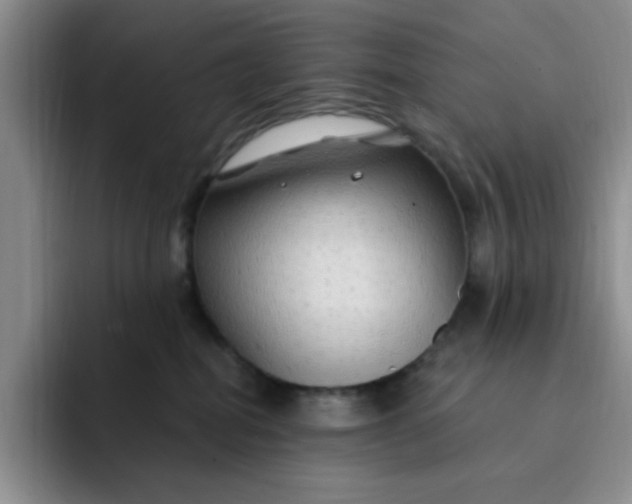 X0000091730282200709141232