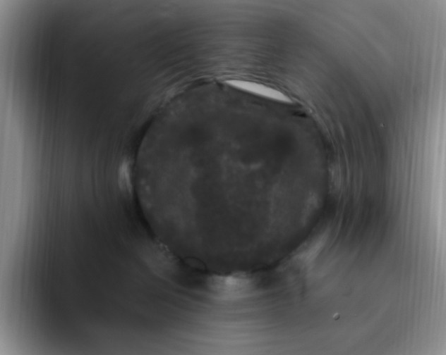 X0000091730286200709141232