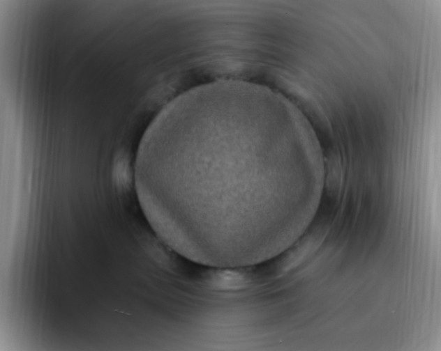 X0000091730287200709141232