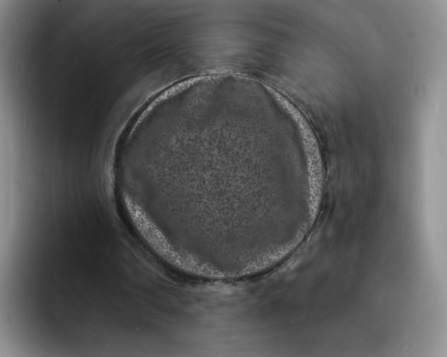 X0000091730290200709141231