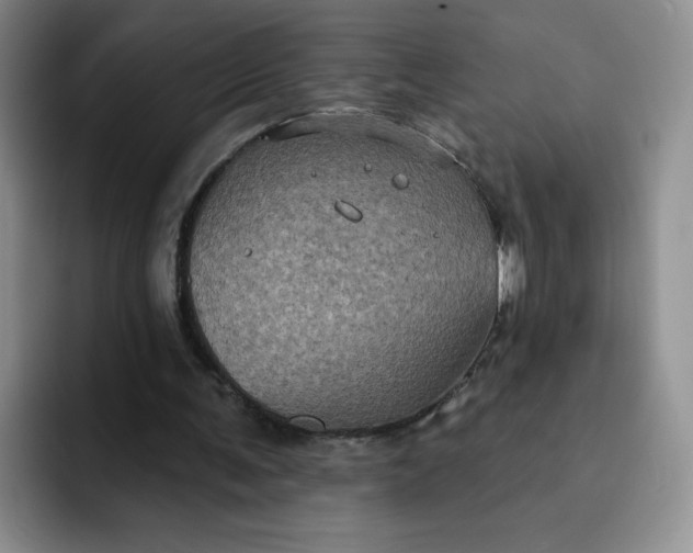 X0000091730291200709141231