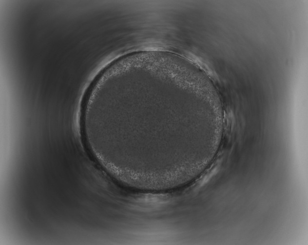 X0000091730292200709141231