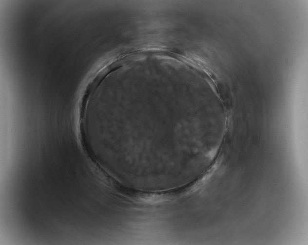 X0000091730293200709141231