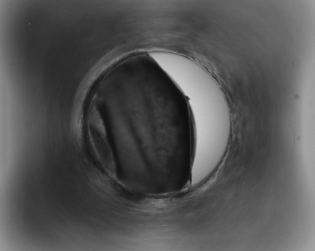 X0000091730295200709141231