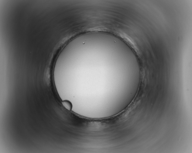 X0000091730298200709141231