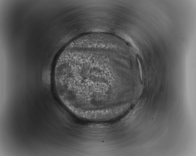 X0000091730299200709141231