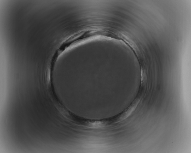 X0000091730301200709141231