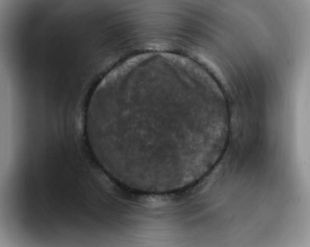 X0000091730305200709141231