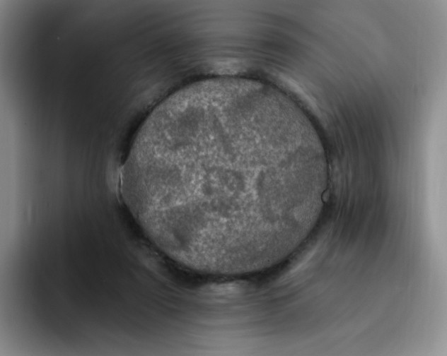 X0000091730307200709141231