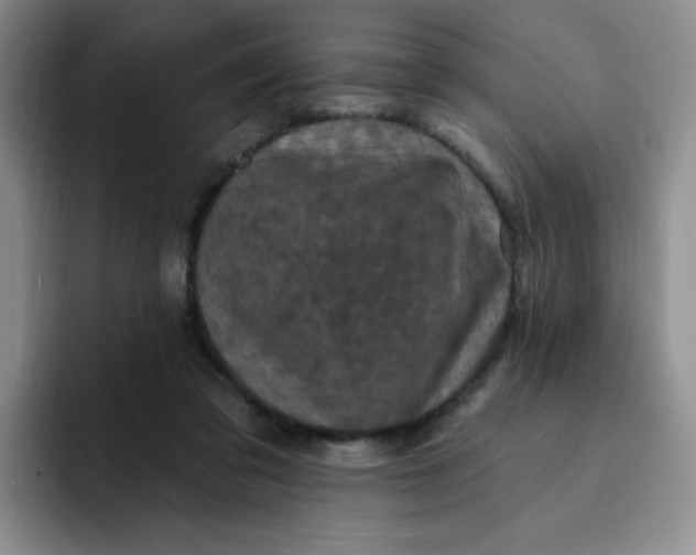 X0000091730309200709141231