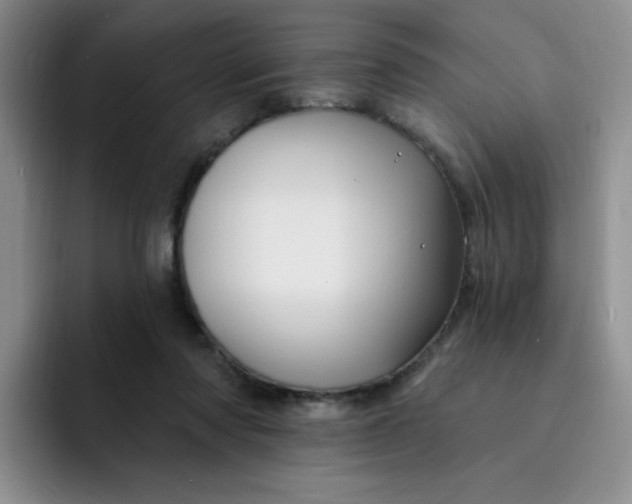 X0000091730310200709141231