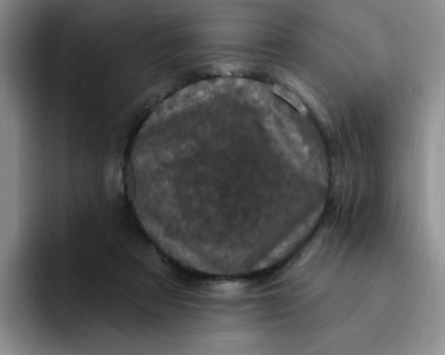 X0000091730313200709141231