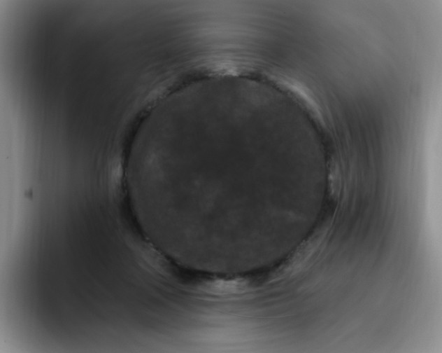 X0000091730314200709141231