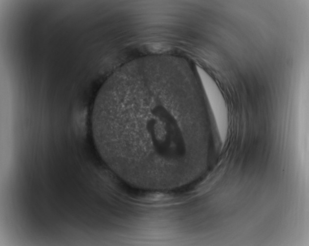 X0000091730319200709141231