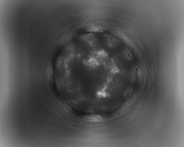 X0000091730322200709141231