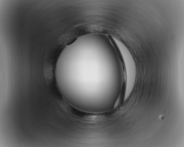 X0000091730323200709141231