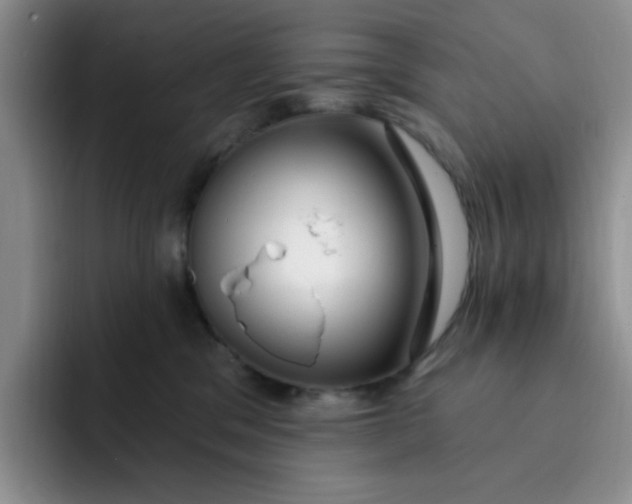 X0000091730329200709141231