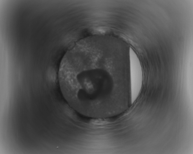 X0000091730331200709141231