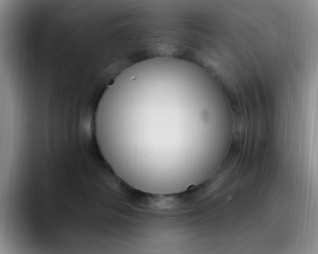 X0000091730334200709141231