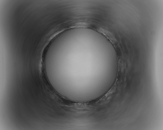 X0000091730338200709141230