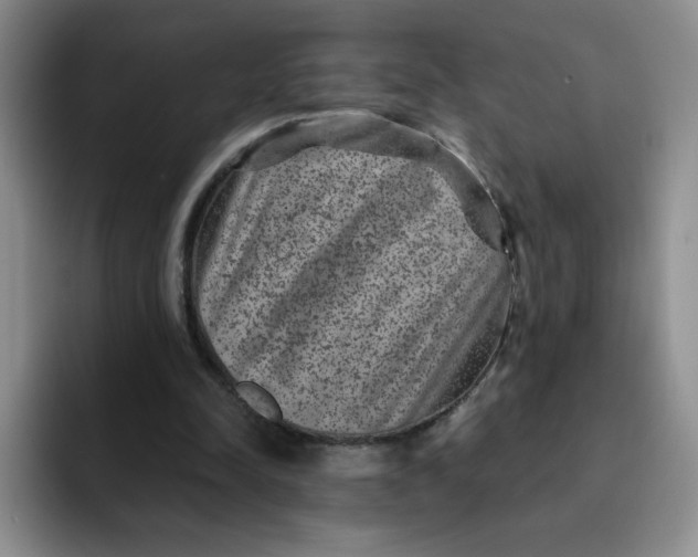 X0000091730342200709141230