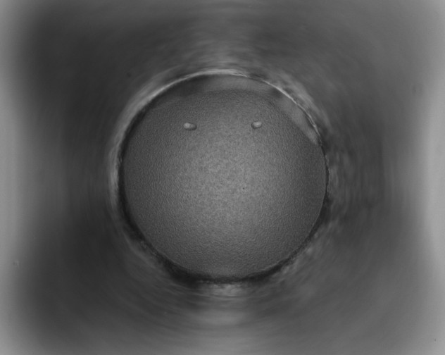 X0000091730344200709141230