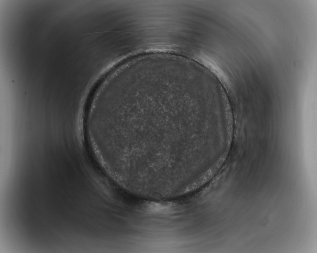 X0000091730346200709141230