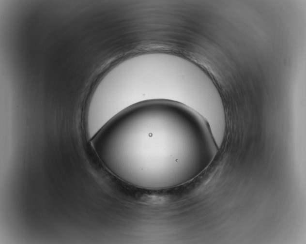 X0000091730352200709141230