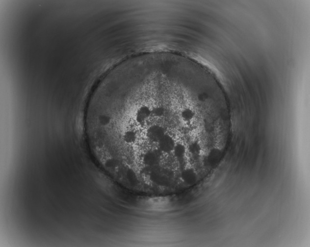 X0000091730353200709141230