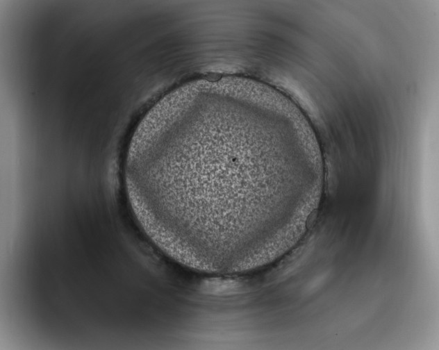 X0000091730354200709141230