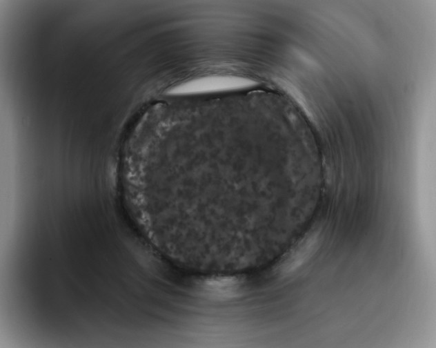 X0000091730357200709141230