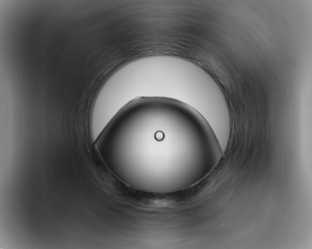 X0000091730360200709141230